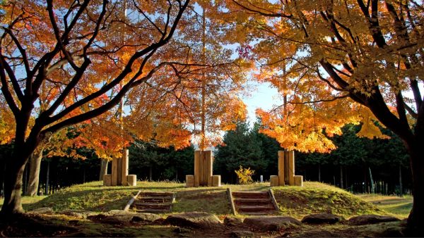 【ベビートラベル提案】秋を沢山感じながら木の実拾いが出来る公園5選