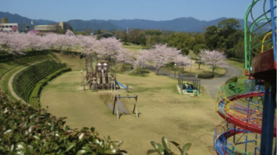 亀山公園の遊具と広場