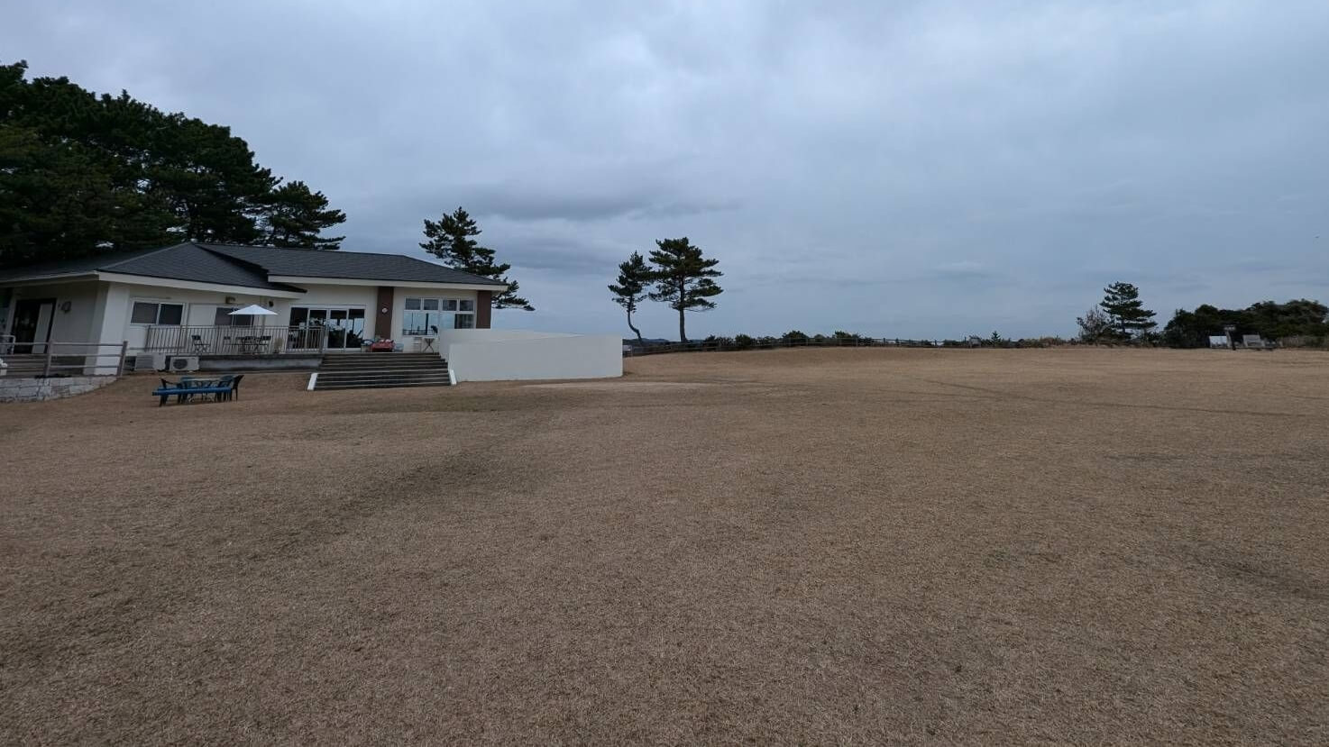 安乗岬園地の芝生