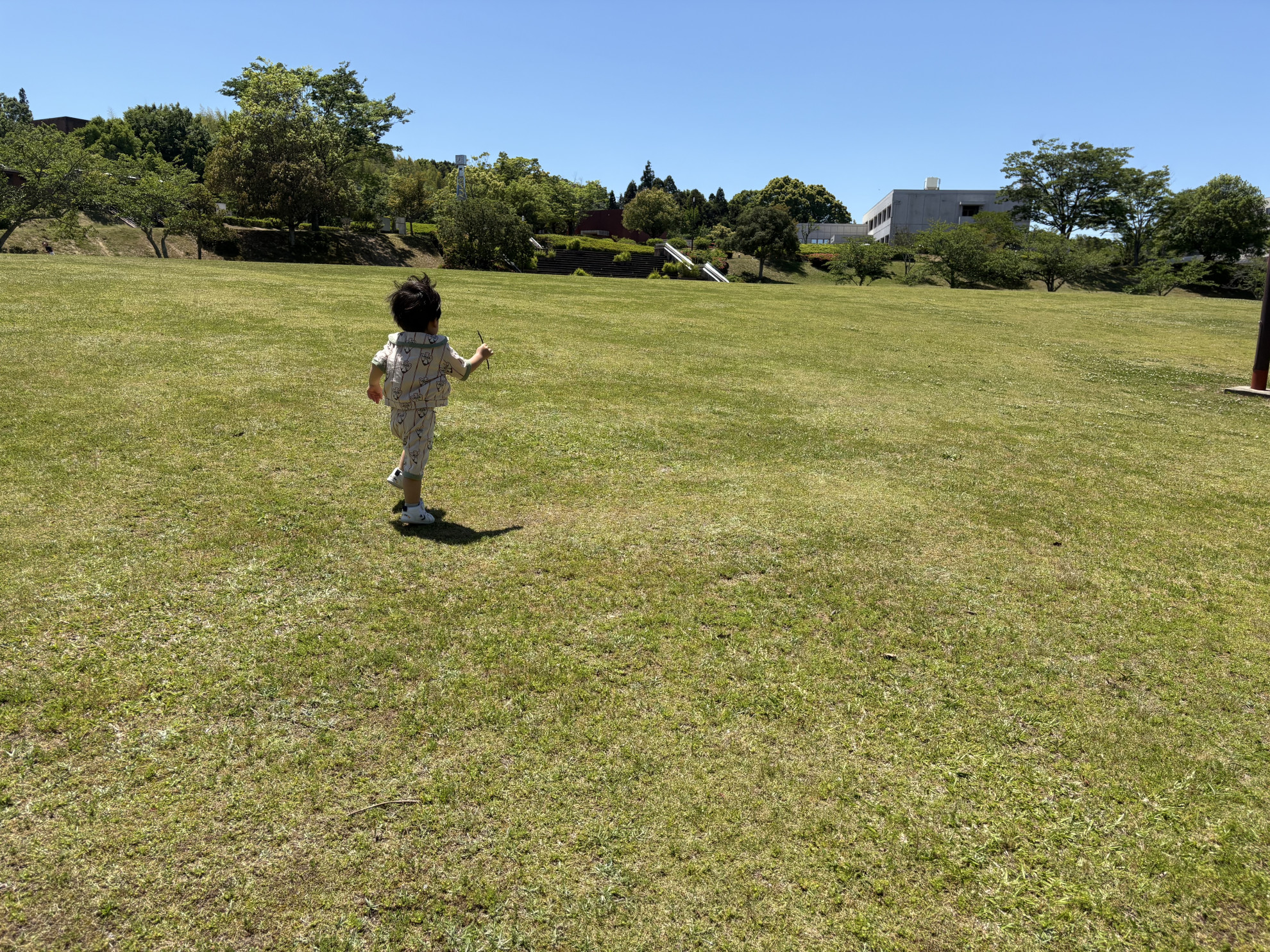 亀山公園の芝生を歩く子ども