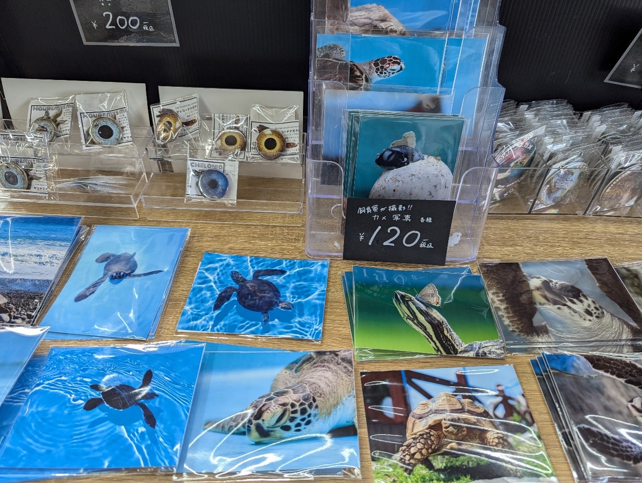 hc_enjoy_items